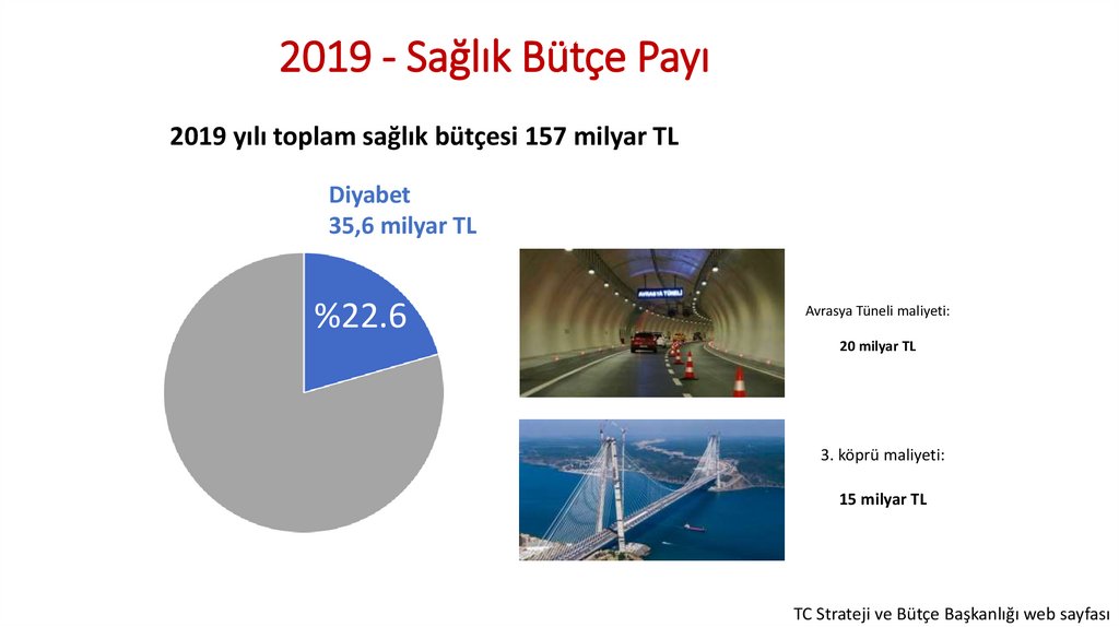 Diyabet Maliyet Analizi