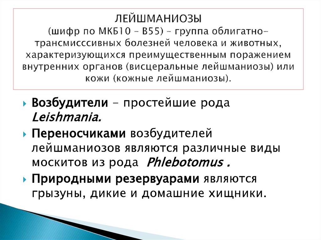 ЛЕЙШМАНИОЗЫ (шифр по МКБ10 – B55) – группа облигатно-трансмисссивных болезней человека и животных, характеризующихся