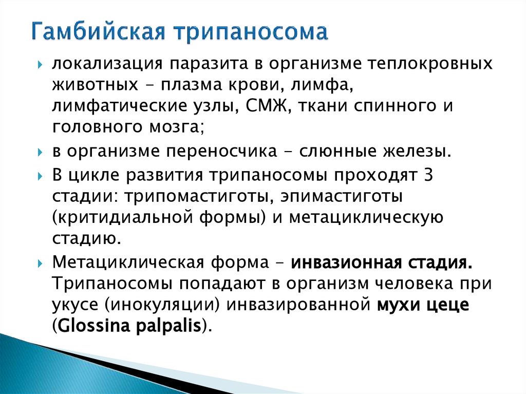 Гамбийская трипаносома