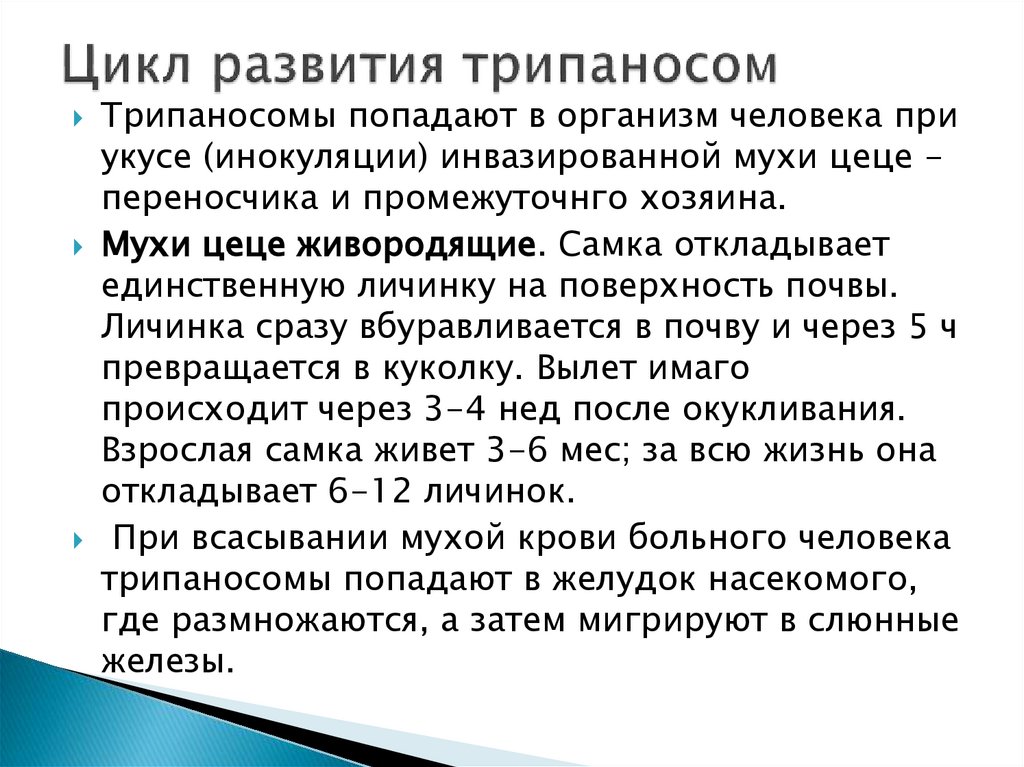 Цикл развития трипаносом