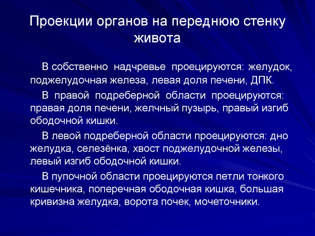 Проекции органов на переднюю стенку живота