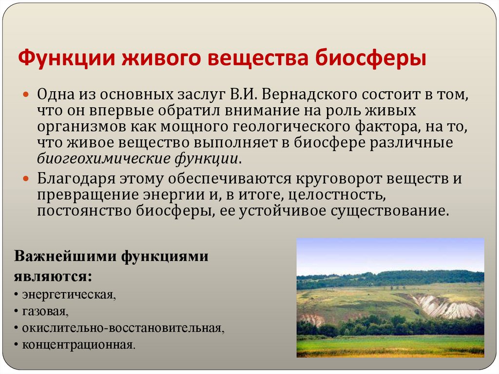 Функции живого вещества биосферы