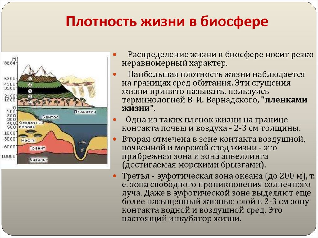 Плотность жизни в биосфере