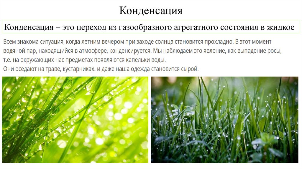 Конденсация