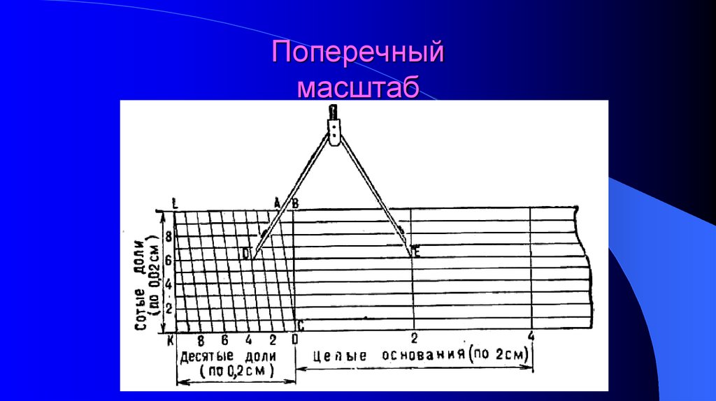 Поперечный масштаб