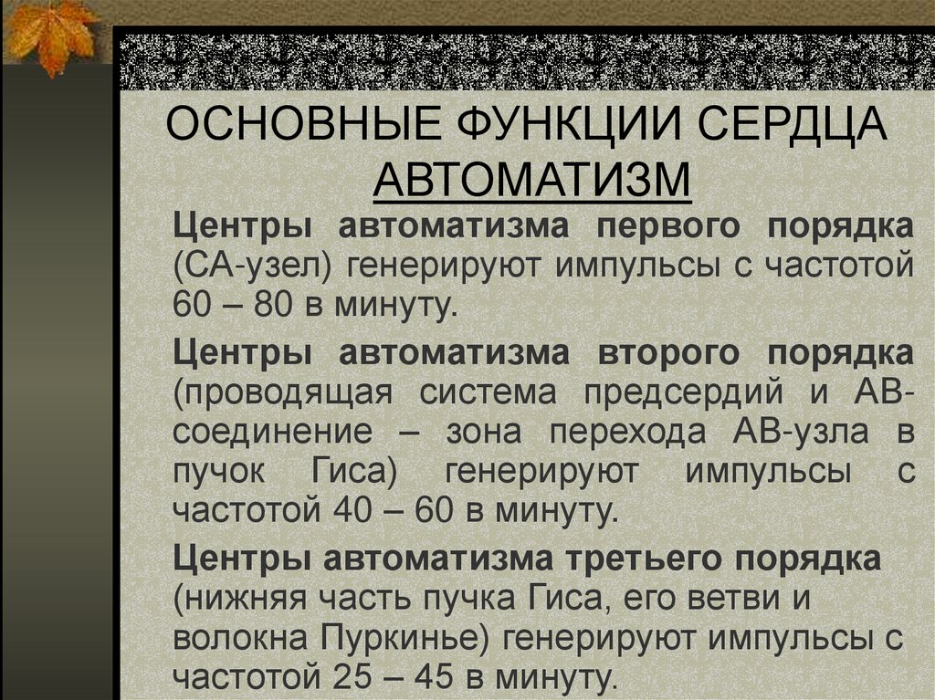 ОСНОВНЫЕ ФУНКЦИИ СЕРДЦА АВТОМАТИЗМ