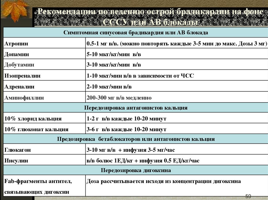 Рекомендации по ведению острой брадикардии на фоне СССУ или АВ блокады