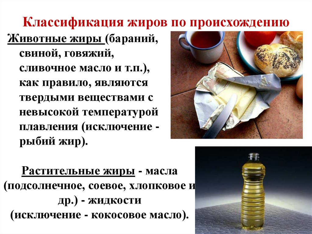 Классификация жиров по происхождению