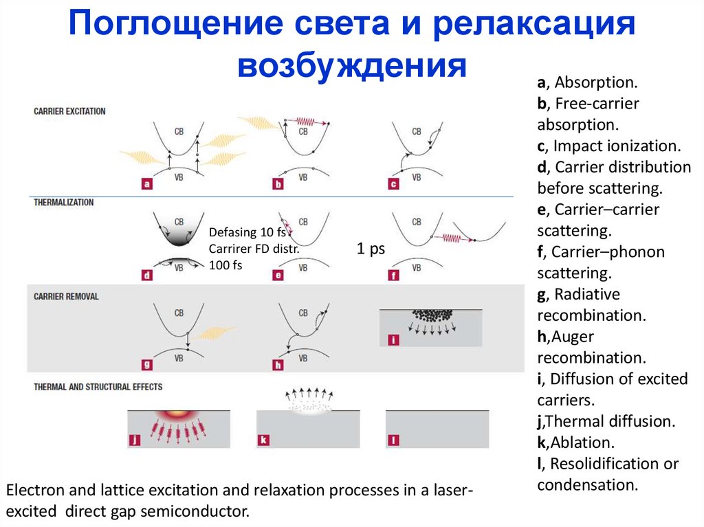Поглощение света и релаксация возбуждения