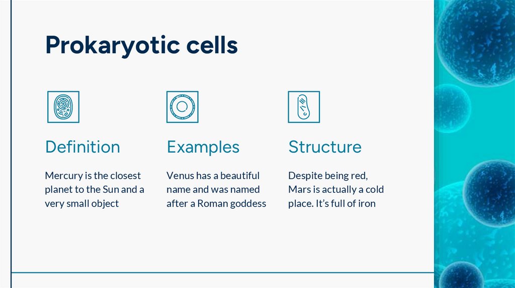 Prokaryotic cells