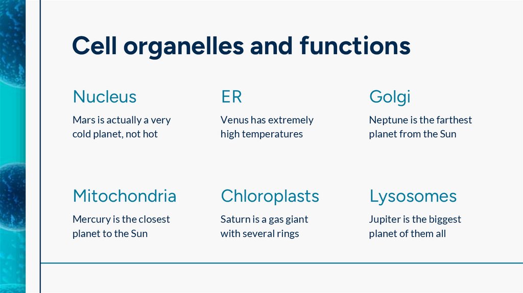 Cell organelles and functions