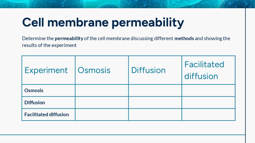 Cell membrane permeability