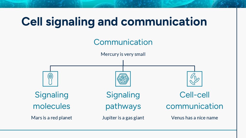 Cell signaling and communication
