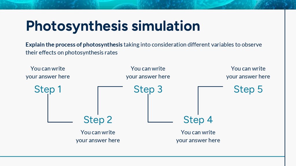 Photosynthesis simulation