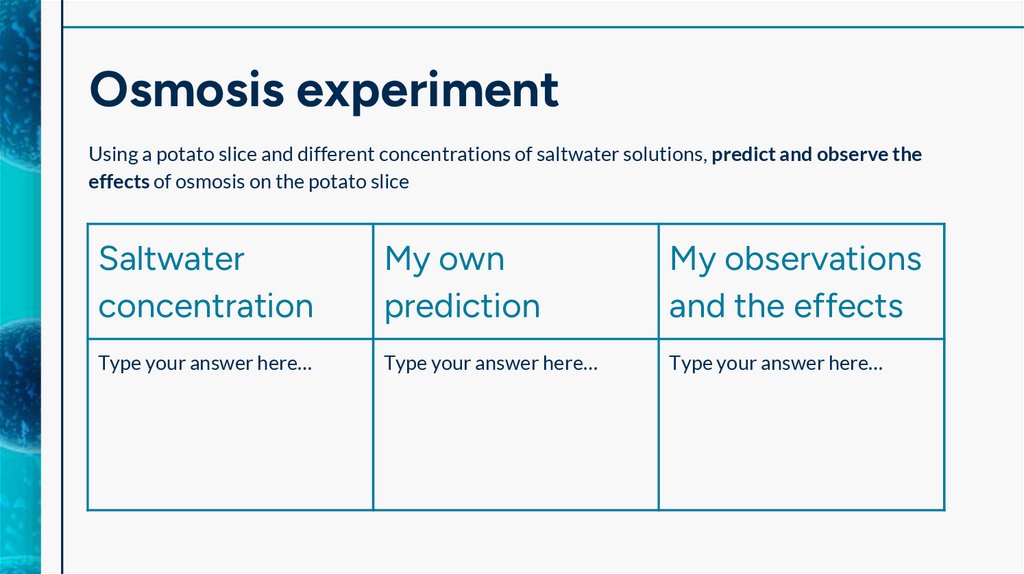 Osmosis experiment