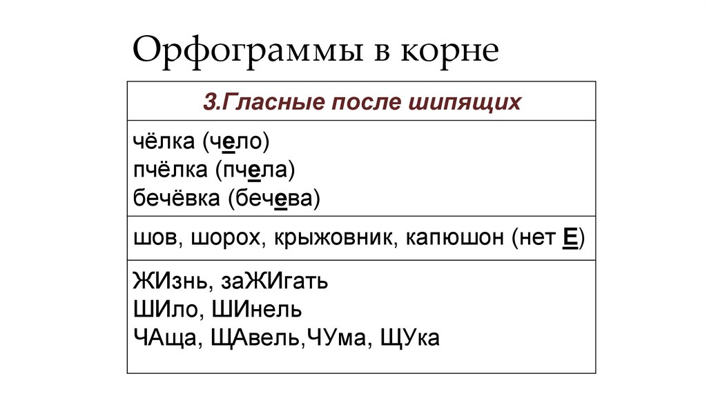 Орфограммы в корне