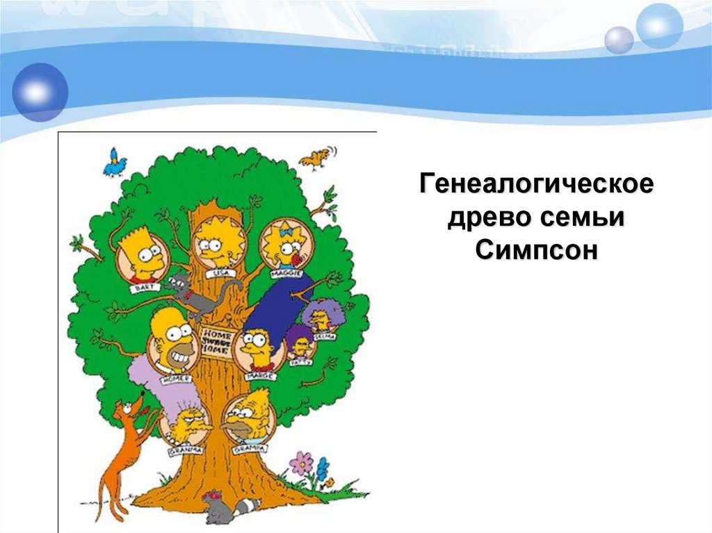 Генеалогическое древо семьи Симпсон