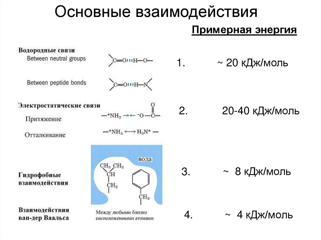 Основные взаимодействия