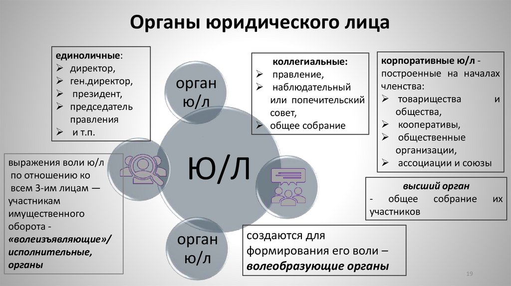 Органы юридического лица