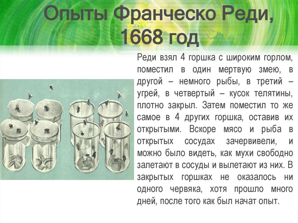 Опыты Франческо Реди, 1668 год