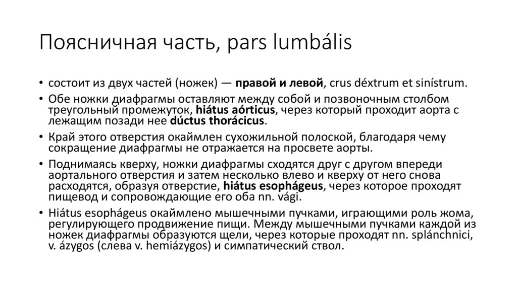 Поясничная часть, pars lumbális