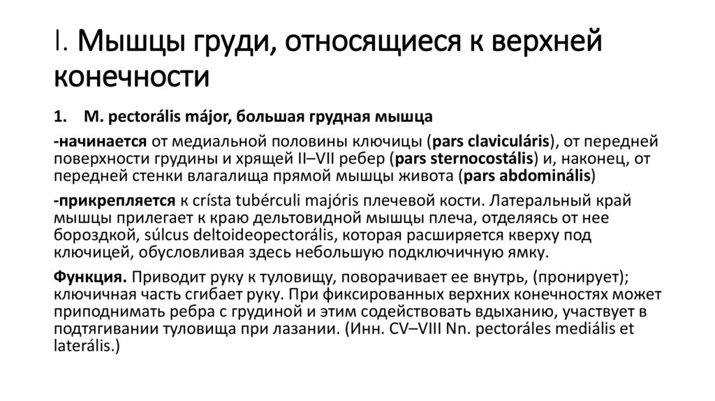 I. Мышцы груди, относящиеся к верхней конечности