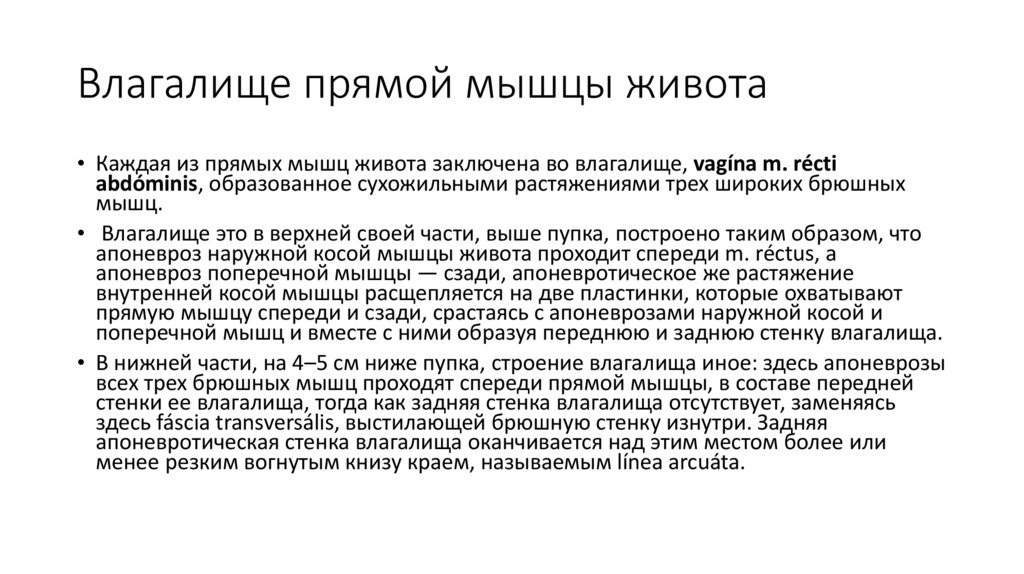 Влагалище прямой мышцы живота