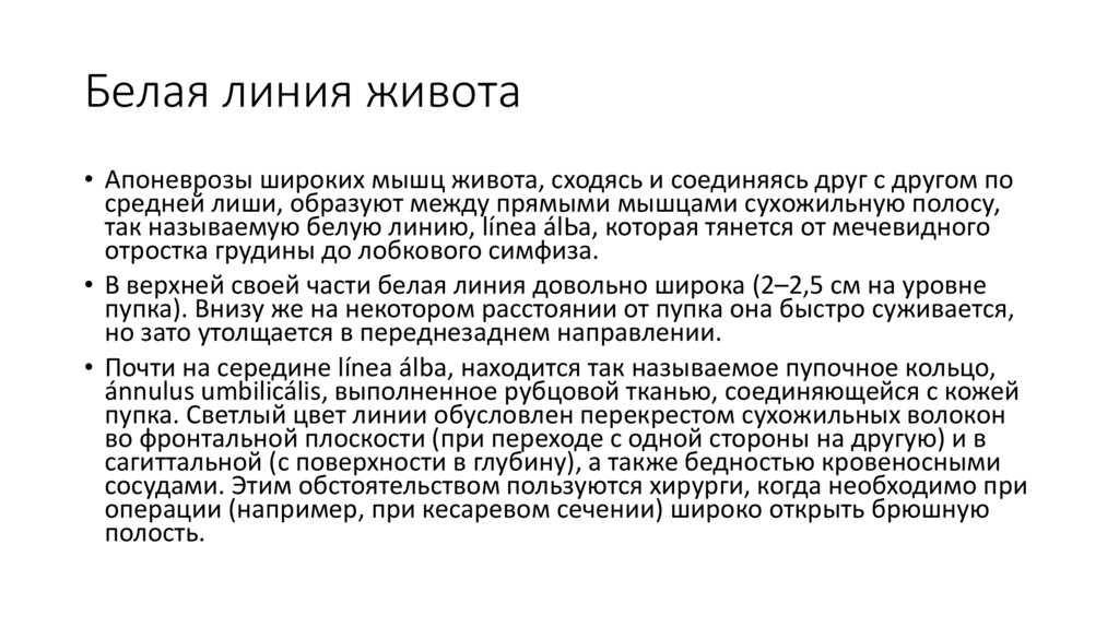 Белая линия живота