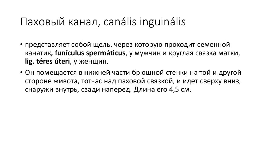 Паховый канал, canális inguinális