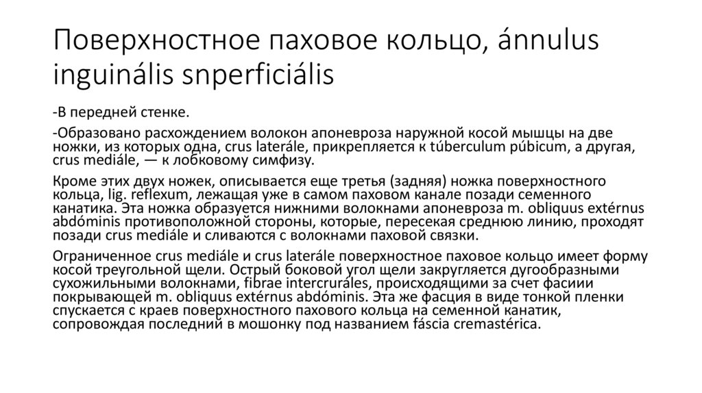 Поверхностное паховое кольцо, ánnulus inguinális snperficiális