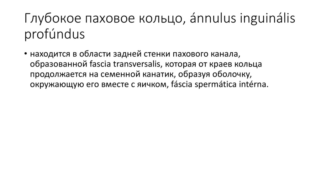 Глубокое паховое кольцо, ánnulus inguinális profúndus
