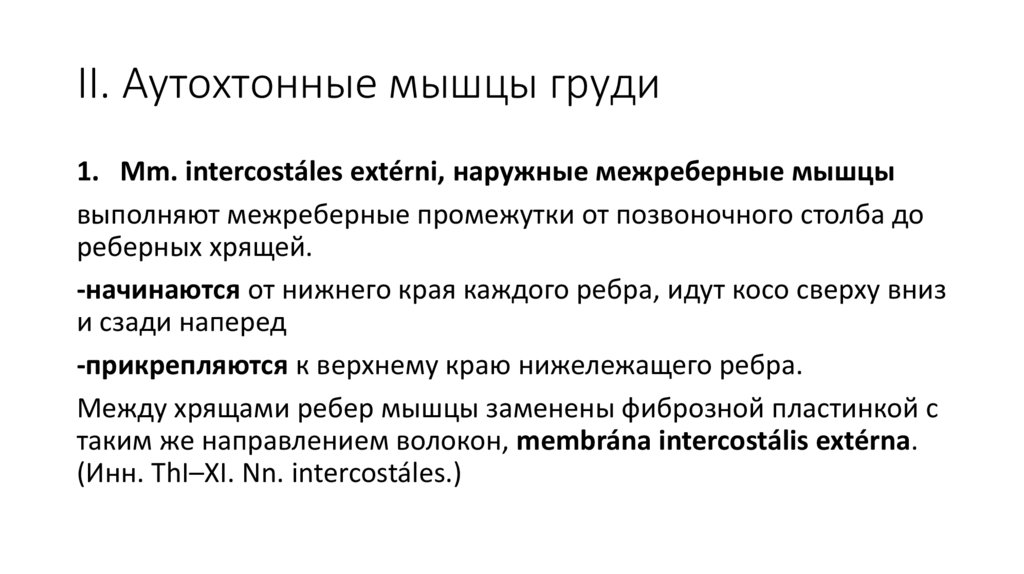 II. Аутохтонные мышцы груди