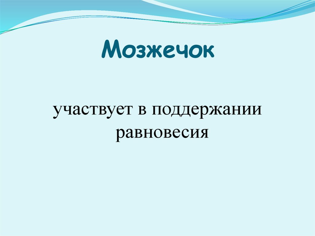 Мозжечок