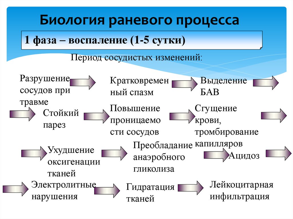 Биология раневого процесса
