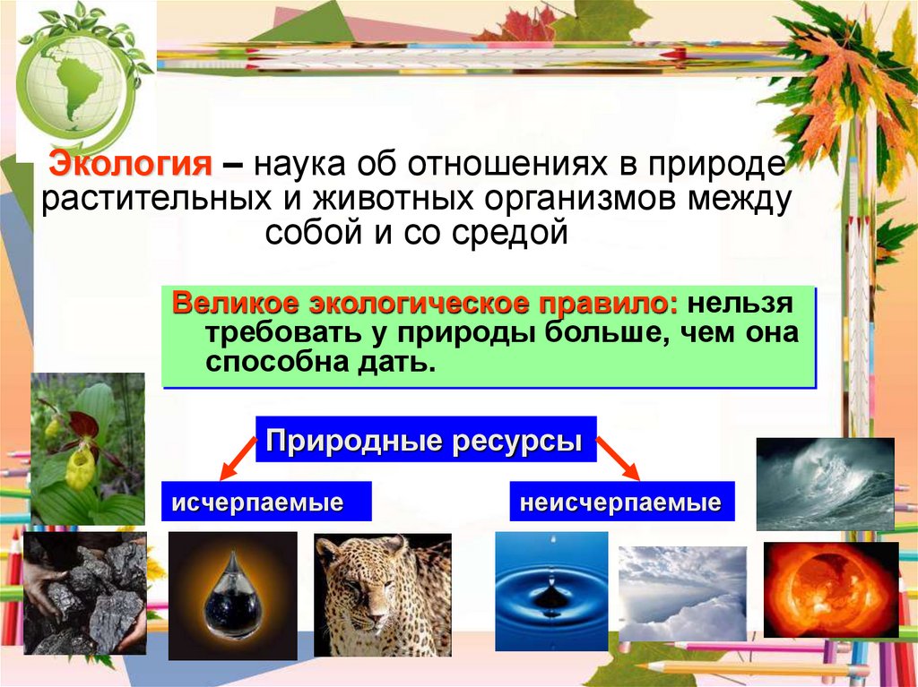 Взаимосвязь растения и животного примеры - найдено 85 картинок