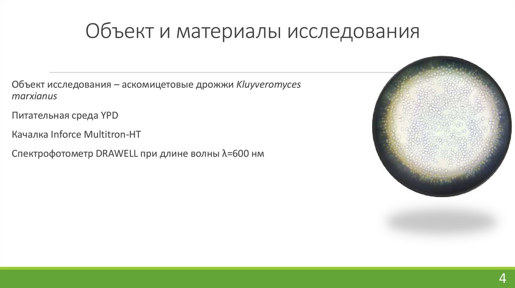 Объект и материалы исследования