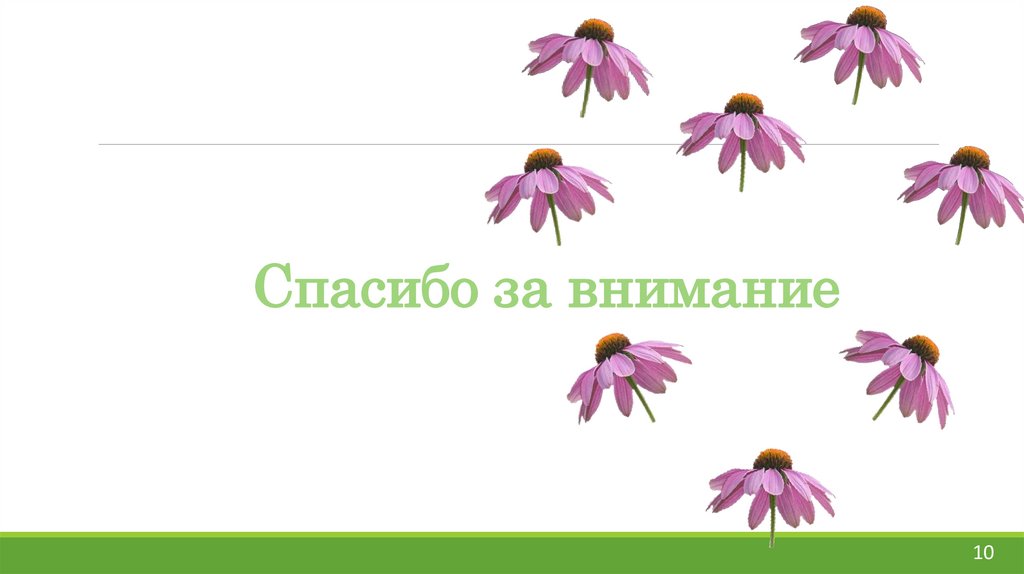 Спасибо за внимание