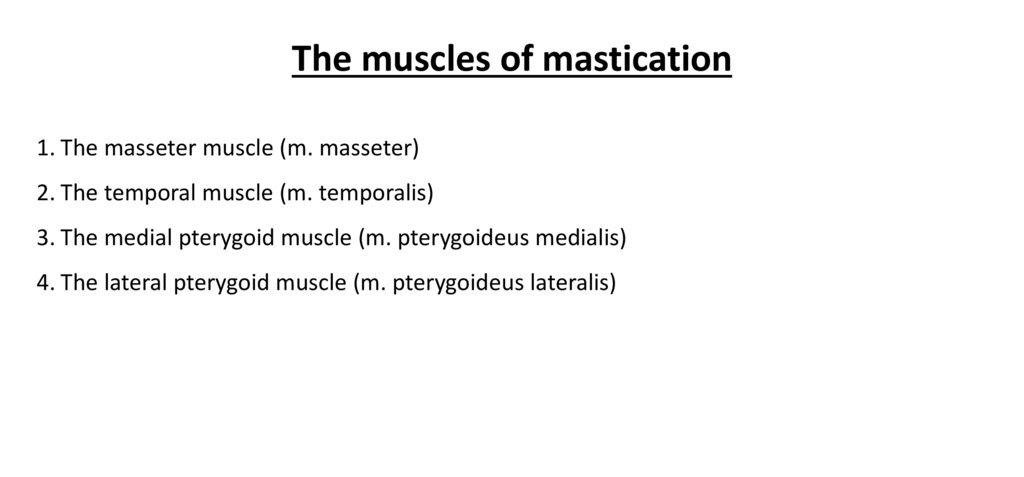 The muscles of mastication