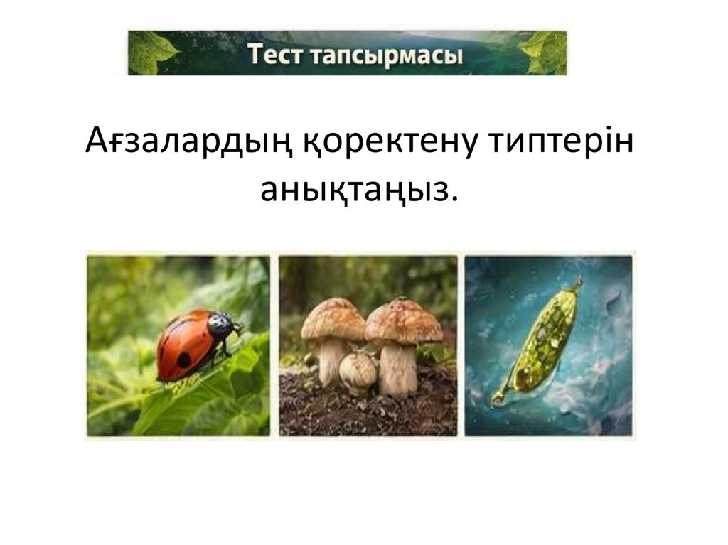 Ағзалардың қоректену типтерін анықтаңыз.