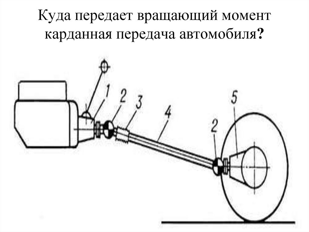 Куда передает вращающий момент карданная передача автомобиля?