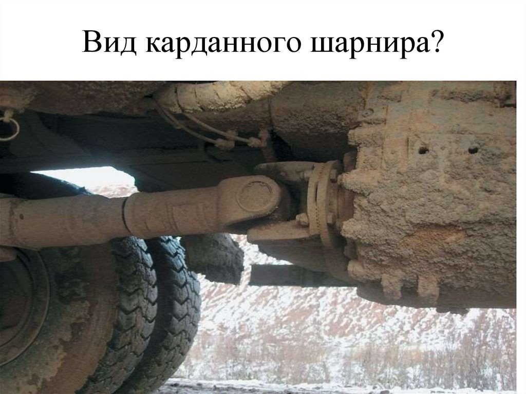 Вид карданного шарнира?