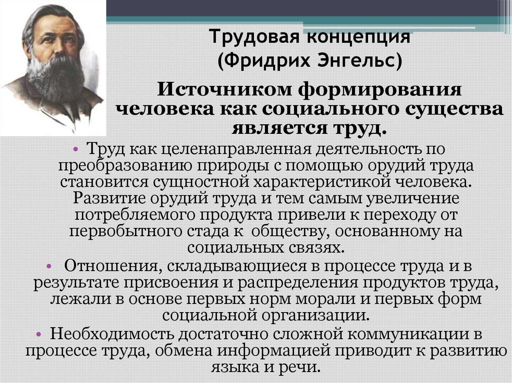 Трудовая концепция (Фридрих Энгельс)