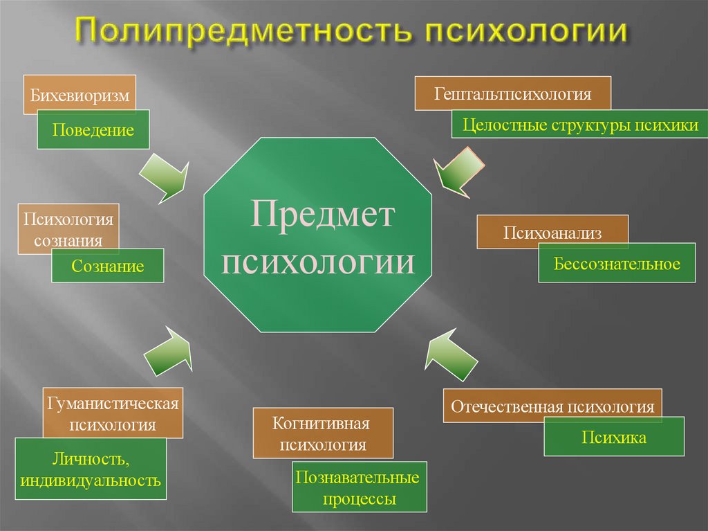 Полипредметность психологии
