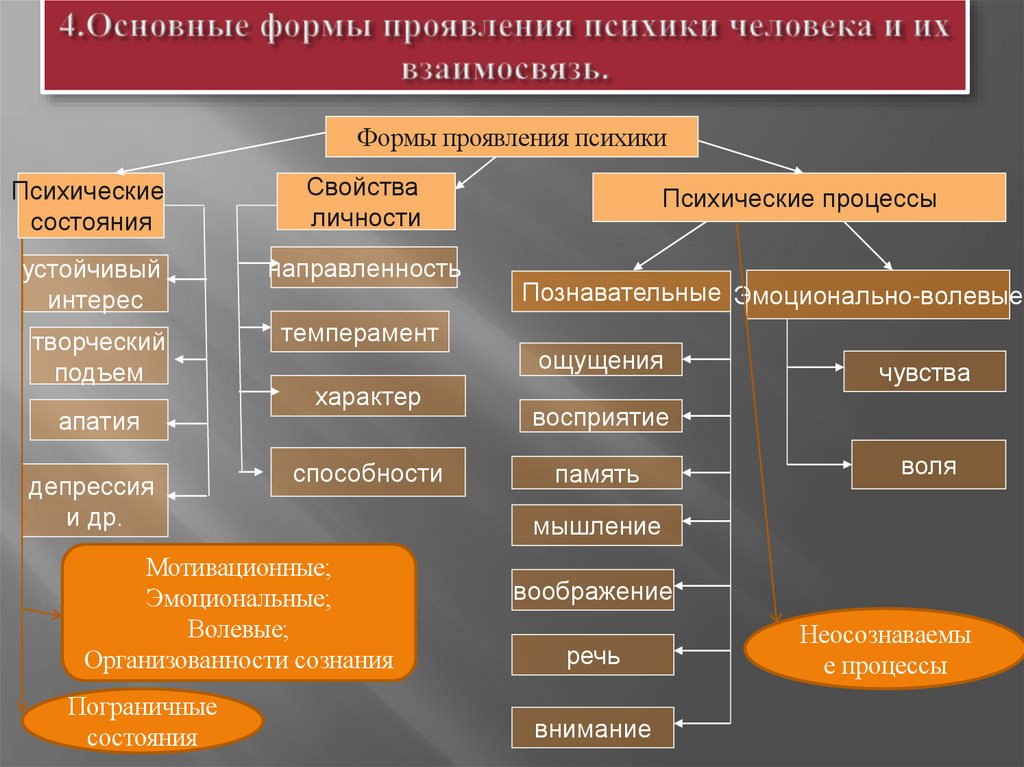 4.Основные формы проявления психики человека и их взаимосвязь.