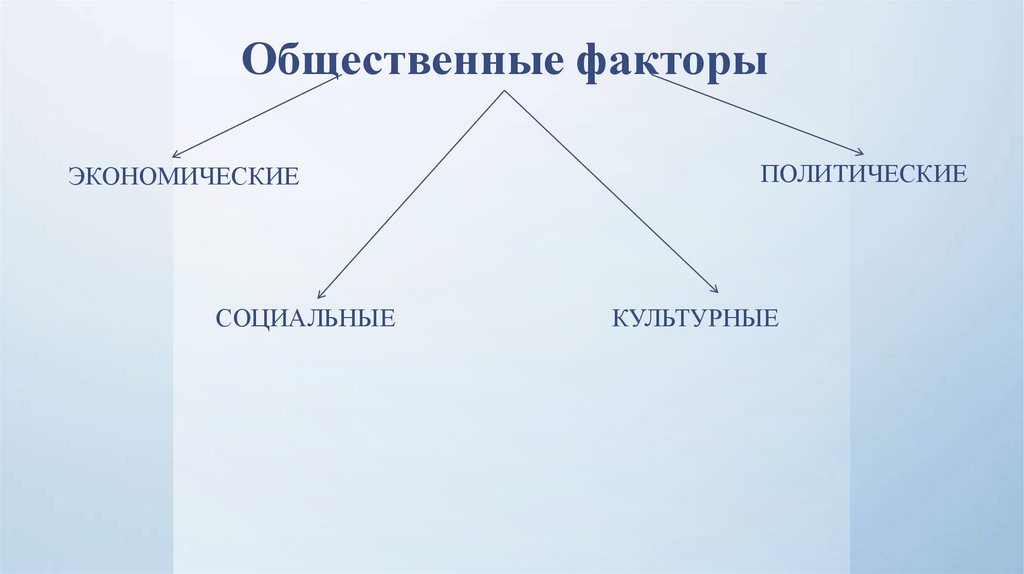 Общественные факторы