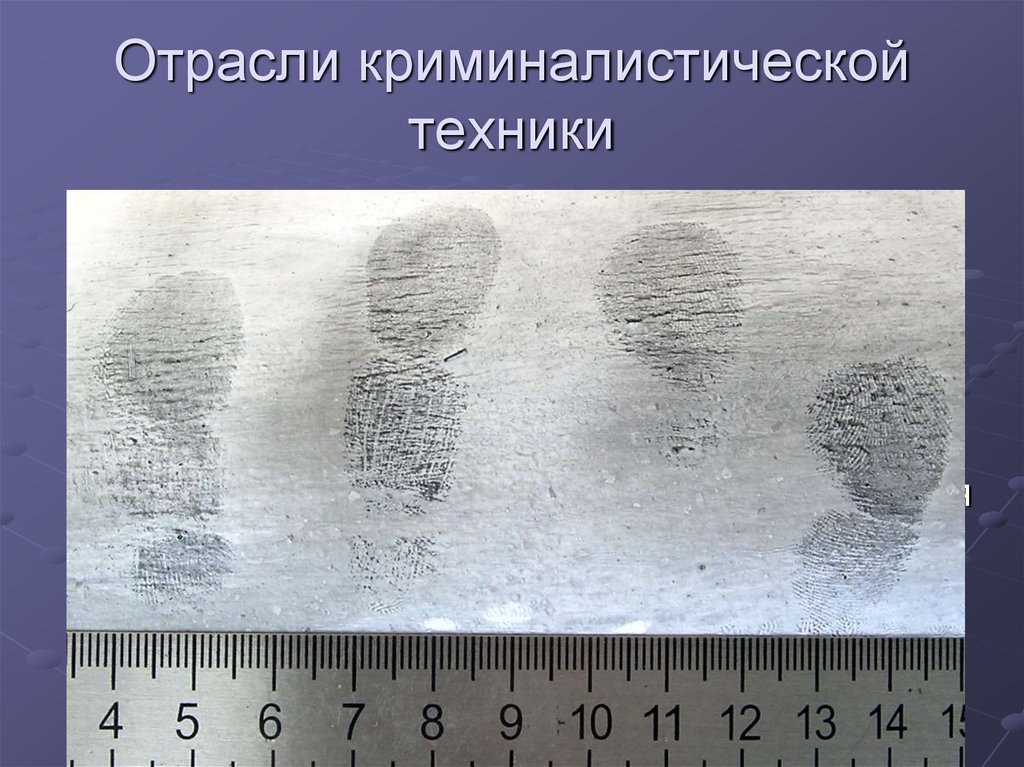 Отрасли криминалистической техники