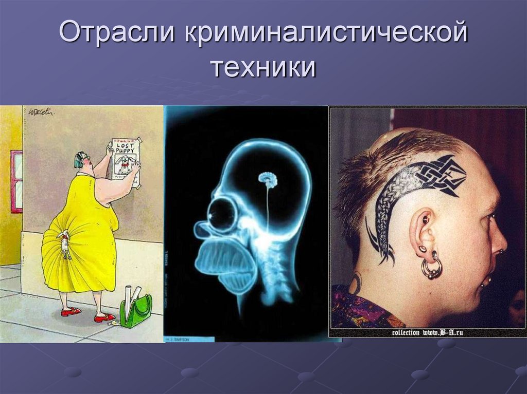 Отрасли криминалистической техники