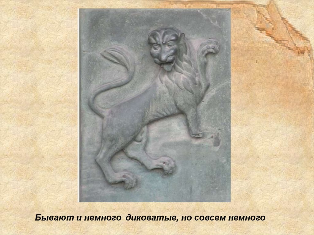 А иногда ну просто как домашние коты