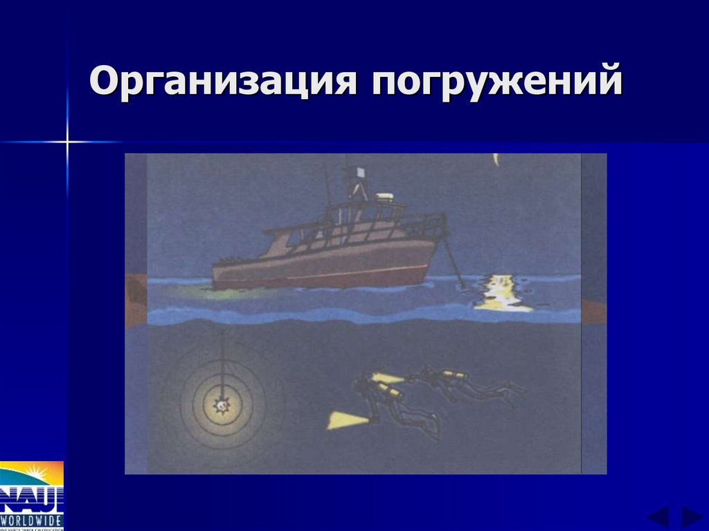 Организация погружений