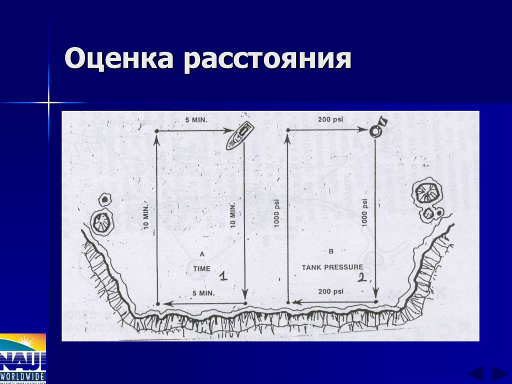 Оценка расстояния